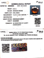 Load image into Gallery viewer, 8.52/CT Natural Govt. Lab Certified Ceylonese Gomed-(1221)