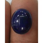 Load image into Gallery viewer, Lepis-Lazuli-350