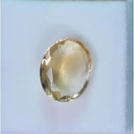 Load image into Gallery viewer, Golden Topaz-450