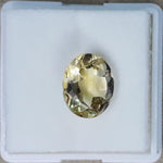 Load image into Gallery viewer, Golden Topaz-450