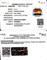 Load image into Gallery viewer, 5.74/CT Natural Govt. Lab Certified Ceylonese Gomed-(1221)