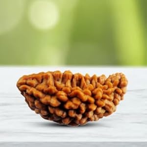 One Mukhi Rudraksha (4500)