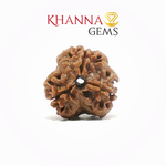 Load image into Gallery viewer, 3 MUKHI NEPALI RUDRAKSHA