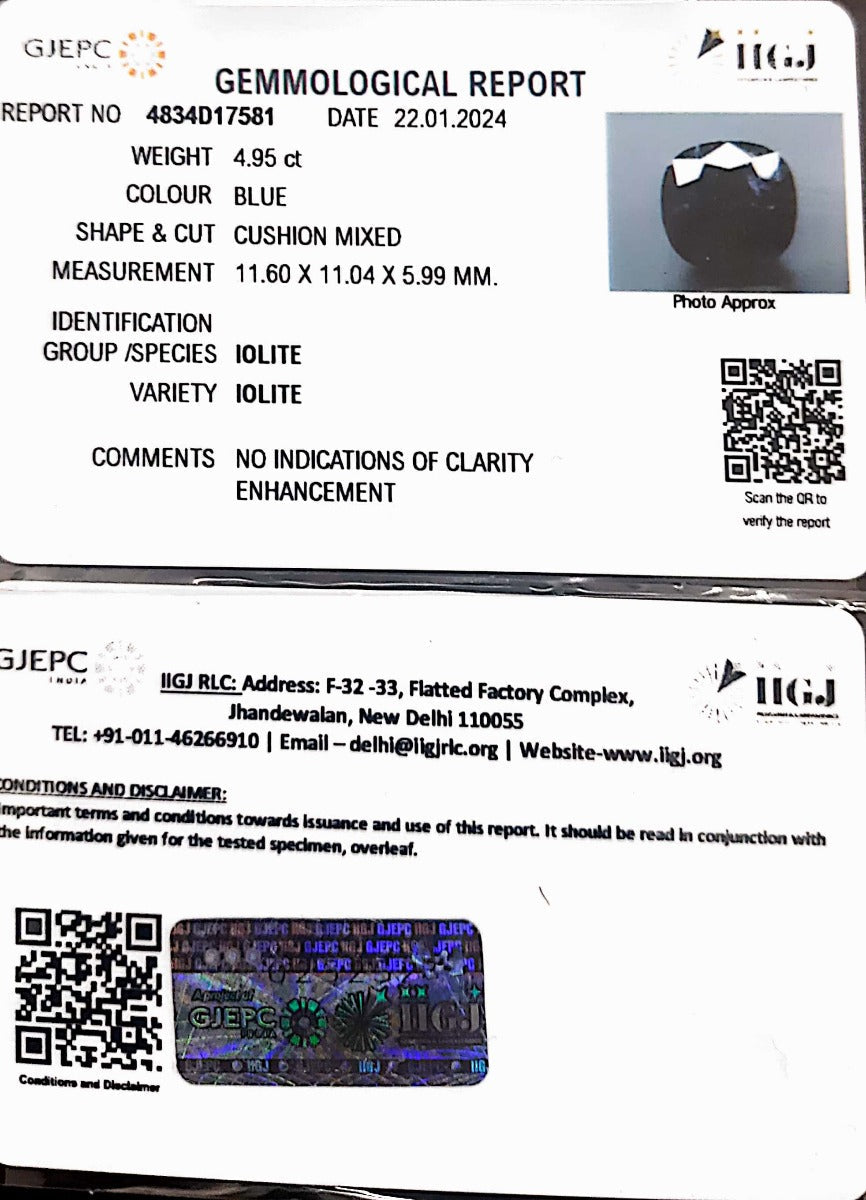 4.95/CT Natural Iolite with Govt Lab Certificate (4834D17581)