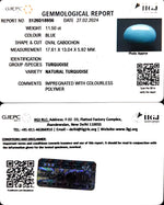 Load image into Gallery viewer, 11.50/CT Natural Govt. Lab Certified Turquoise (832)