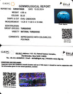 Load image into Gallery viewer, 4.98/CT Natural Govt. Lab Certified Turquoise-1221