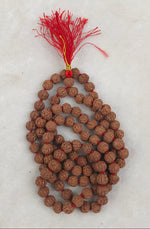 Load image into Gallery viewer, FIVE MUKHI RUDRAKSHA MALA
