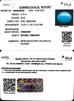 Load image into Gallery viewer, 8.19/CT Natural Govt. Lab Certified Turquoise-1221