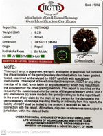 Load image into Gallery viewer, 6 MUKHI NEPALI RUDRAKSHA (BIG BEADS)