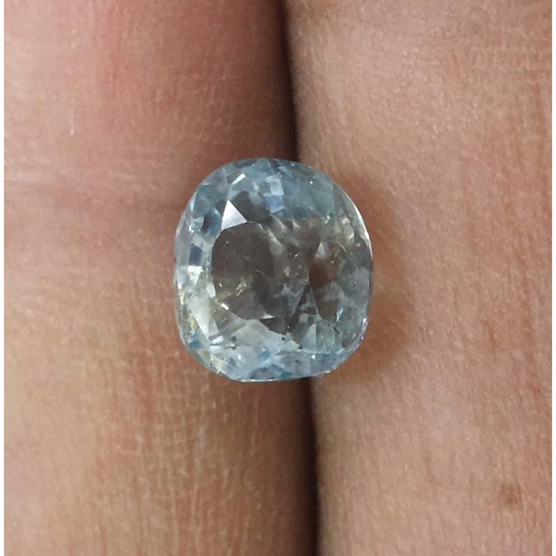 Pitambari Neelam-(34410)