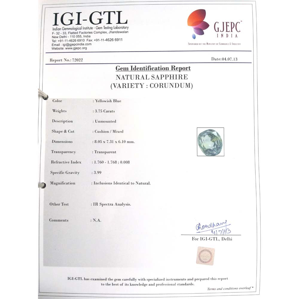 Pitambari Neelam-(34410)