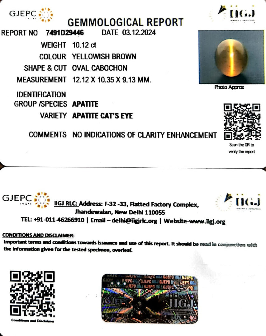 10.12/CT Natural Apatite Cat's Eye with Govt. Lab certificate-1221