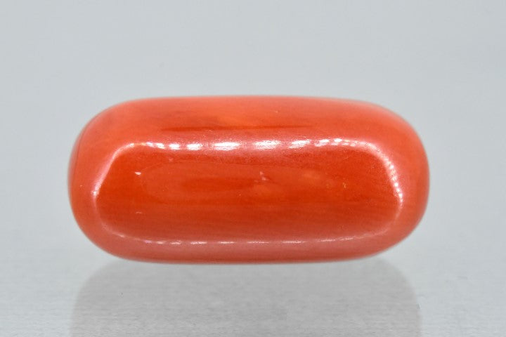14.22/Carat Natural Italian Red Coral (2100)