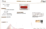 Load image into Gallery viewer, 6.68/CT Natural Red Coral With Govt. Lab Certificate