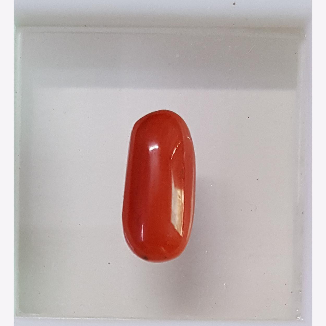 2.52/CT Natural Italian Moonga