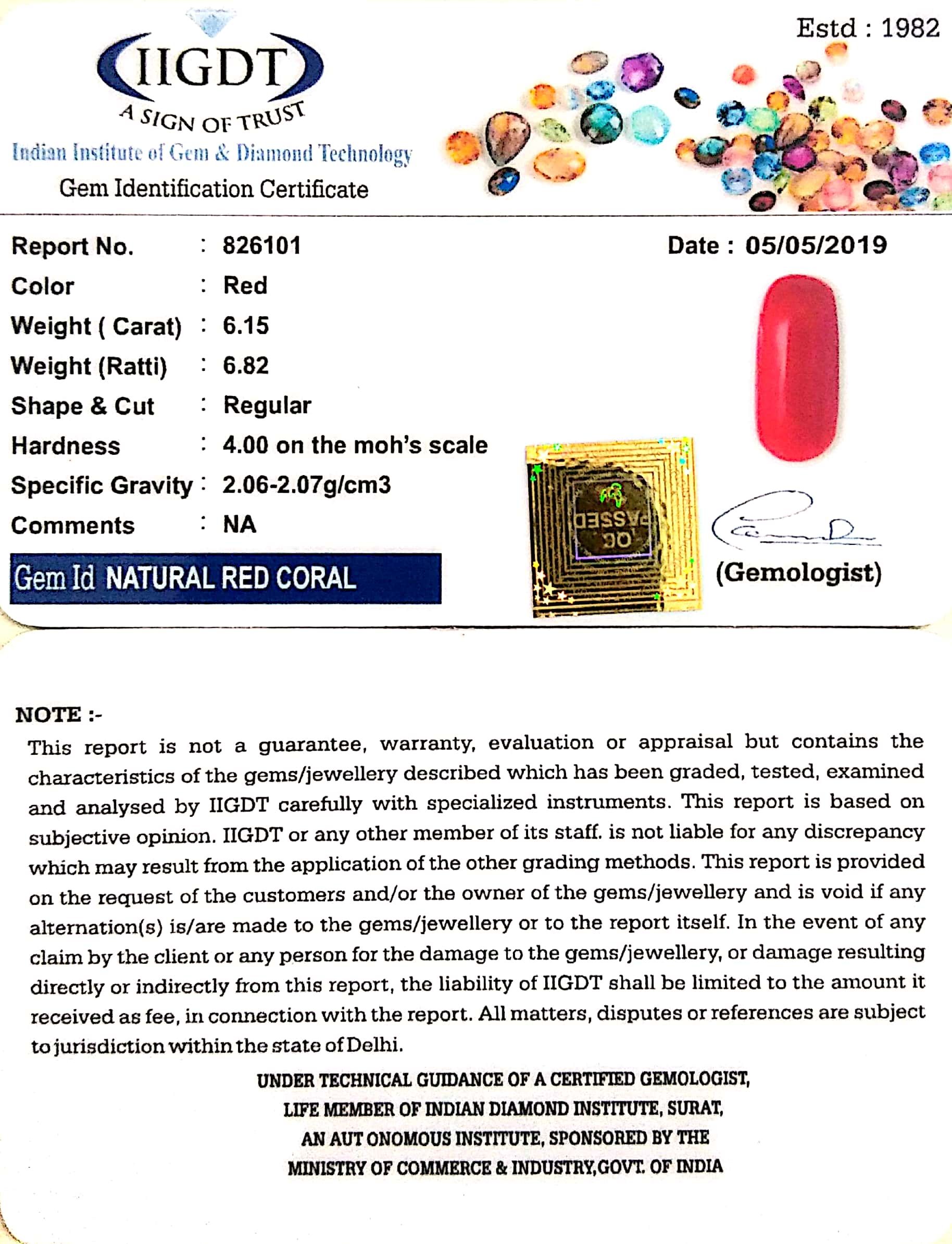 6.15/CT Natural Italian Moonga