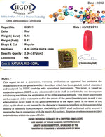 Load image into Gallery viewer, Natural Italian Moonga-(943)