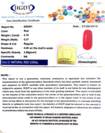 Load image into Gallery viewer, 4.75/CT Natural Italian Red Coral