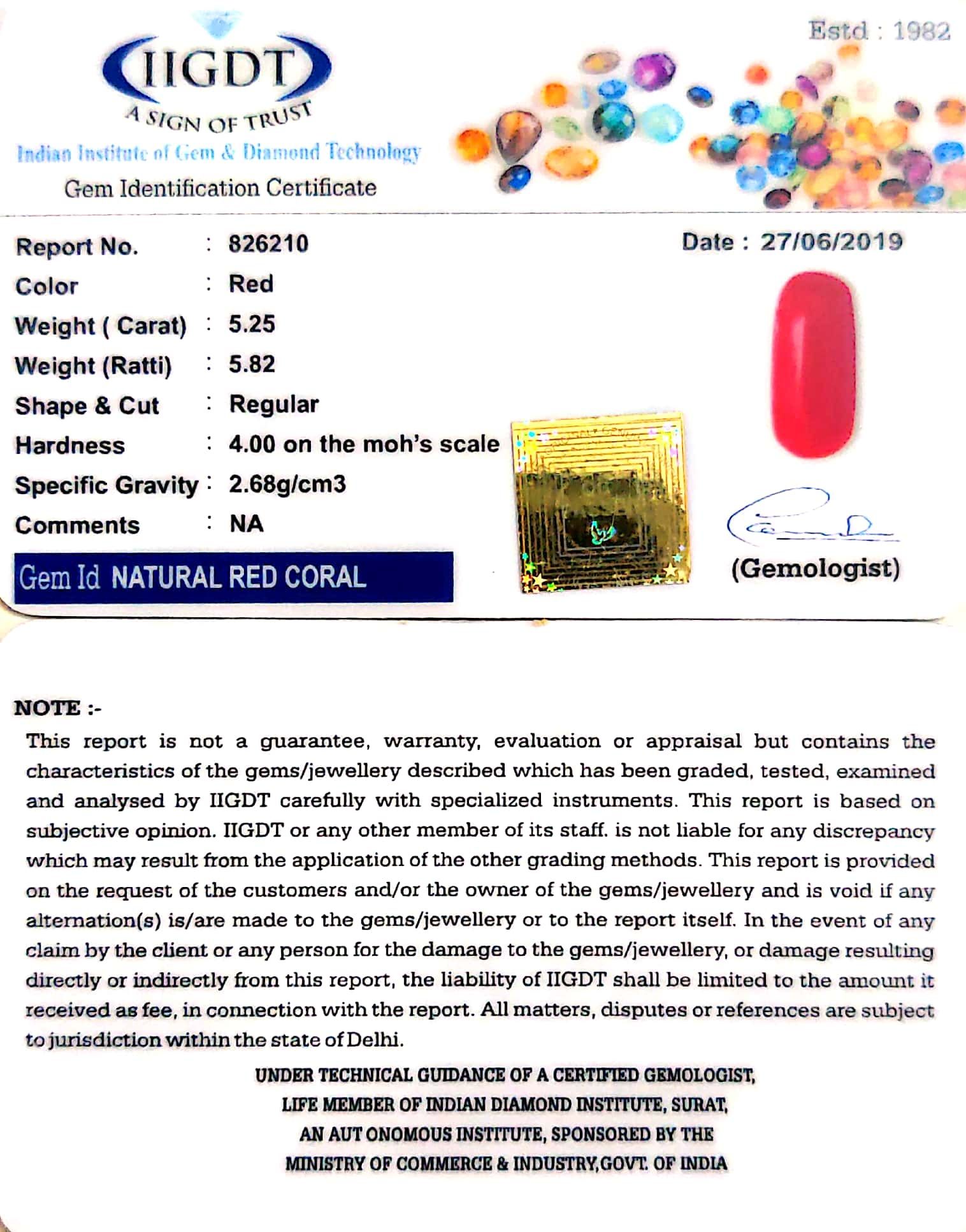5.25/CT Natural Italian Moonga