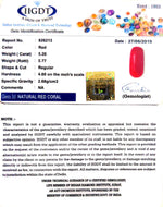 Load image into Gallery viewer, 5.78Ratti Natural Italian Moonga-826213