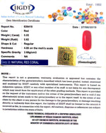Load image into Gallery viewer, 5.25/CT Natural Italian Red Coral