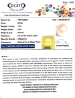 Load image into Gallery viewer, FRESH WATER PEARL-(277)