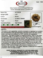 Load image into Gallery viewer, 8 MUKHI NEPALI RUDRAKSHA