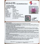 Load image into Gallery viewer, Ruby-5661