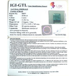 Load image into Gallery viewer, 11.36/CT Natural Panna Stone with Govt. Lab Certificate (12210)