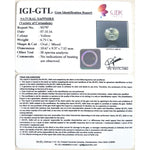 Load image into Gallery viewer, 6.75/CT Natural Yellow sapphire with Govt Lab Certificate-56610