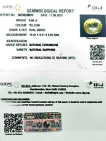 Load image into Gallery viewer, 6.68/CT Natural Yellow Sapphire With Govt Lab Certificate (89910)