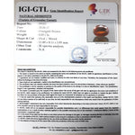 Load image into Gallery viewer, Ceylonese Gomed-(1100)