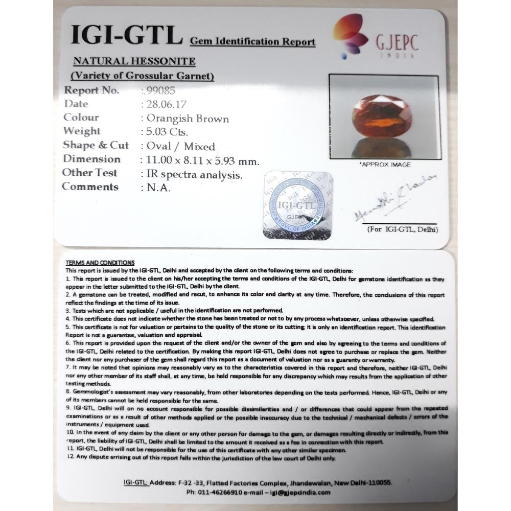 Ceylonese Gomed-(1100)