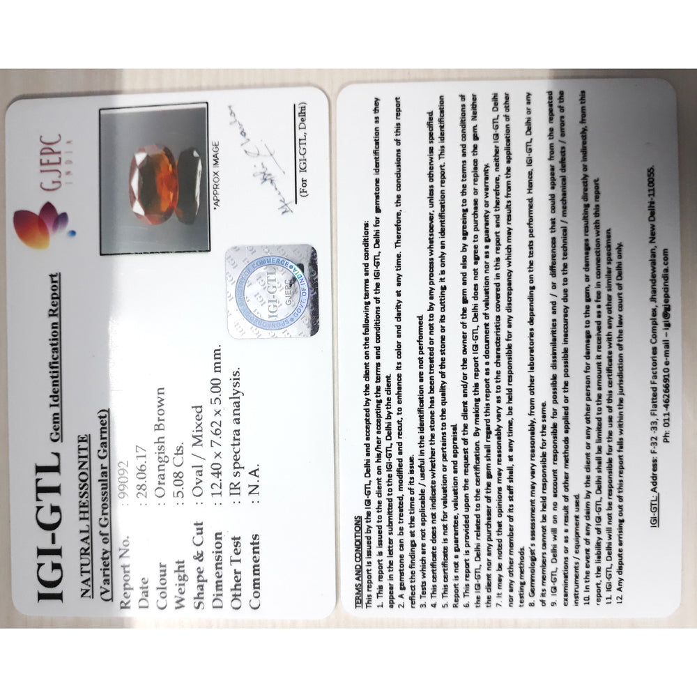 Ceylonese Gomed-(1100)