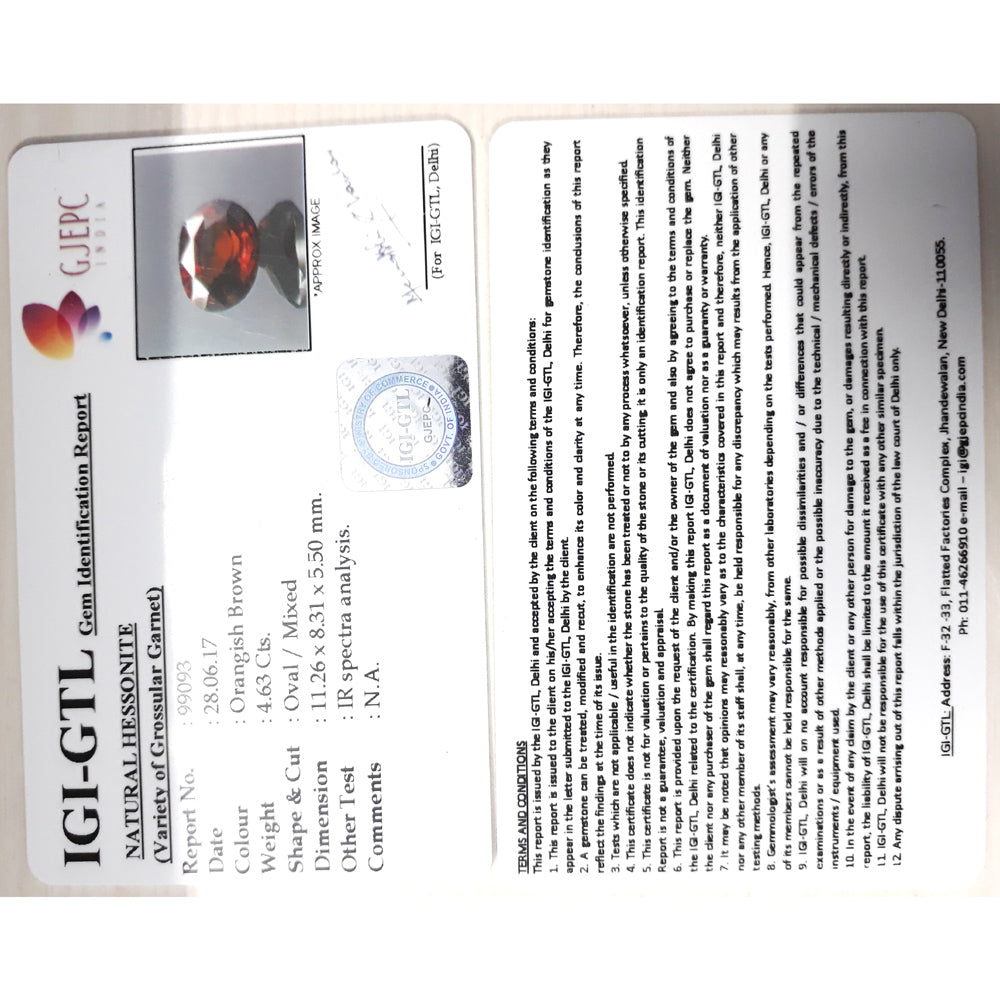 Ceylonese Gomed-(1100)