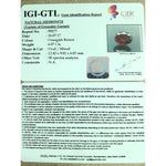 Load image into Gallery viewer, Ceylonese Gomed-(1100)