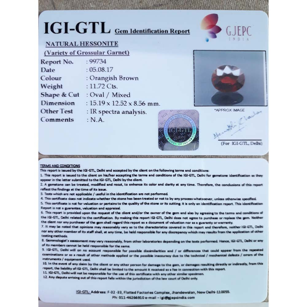 11.72/CT Ceylonese Gomed Gemstone