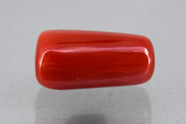 7.08/CT Natural Red Coral | Premium Quality