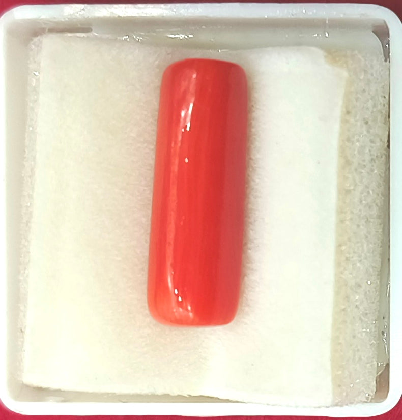 7.70/CT Natural Red Coral With Govt. Lab Certificate
