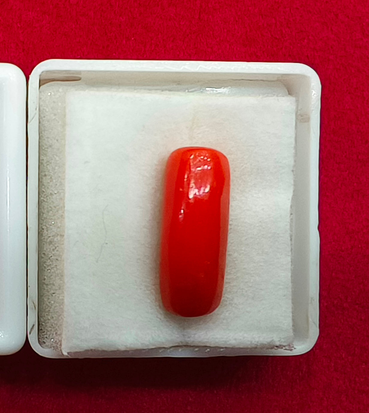 6.44/CT Natural Red Coral With Govt. Lab Certificate