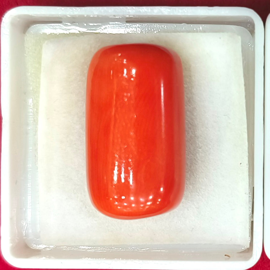 20.17/CT Natural Red Coral With Govt. Lab Certificate