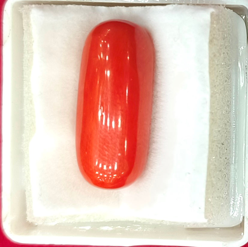 12.62/CT Natural Red Coral With Govt. Lab Certificate