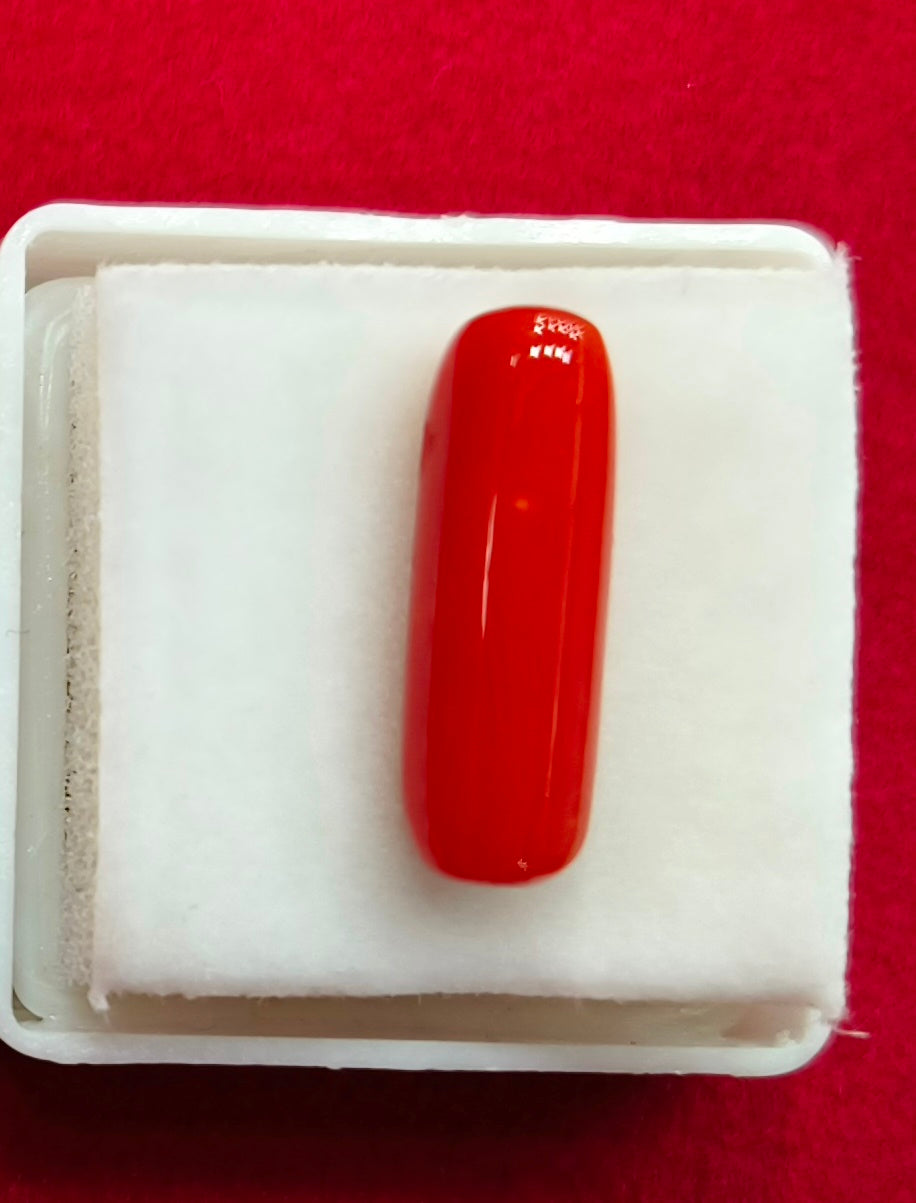 6.72/CT Natural Red Coral With Govt. Lab Certificate