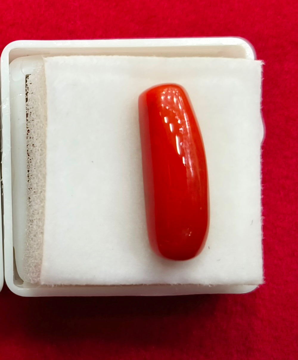7.03/CT Natural Red Coral With Govt. Lab Certificate