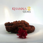 Load image into Gallery viewer, FIVE MUKHI RUDRAKSHA MALA (BIG BEADS)- KG01