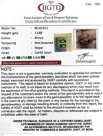 Load image into Gallery viewer, 3.640 Gram Natural Garbh Gauri Rudraksha with Govt. Lab Certificate-KG61513