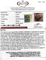 Load image into Gallery viewer, 3.270 Gram Natural Garbh Gauri Rudraksha with Govt. Lab Certificate-KG61515