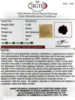 Load image into Gallery viewer, 3.260 Gram Natural Three Mukhi Rudraksha with Govt. Lab Certificate-KG615113