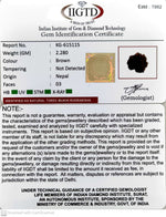 Load image into Gallery viewer, 2.280 Gram Natural Three Mukhi Rudraksha with Govt. Lab Certificate-KG615115