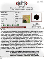 Load image into Gallery viewer, 2.960 Gram Natural Three Mukhi Rudraksha with Govt. Lab Certificate-KG615117